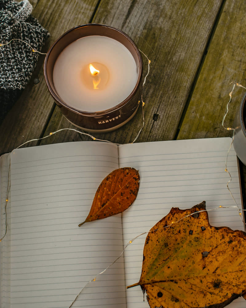 Cedar Candle